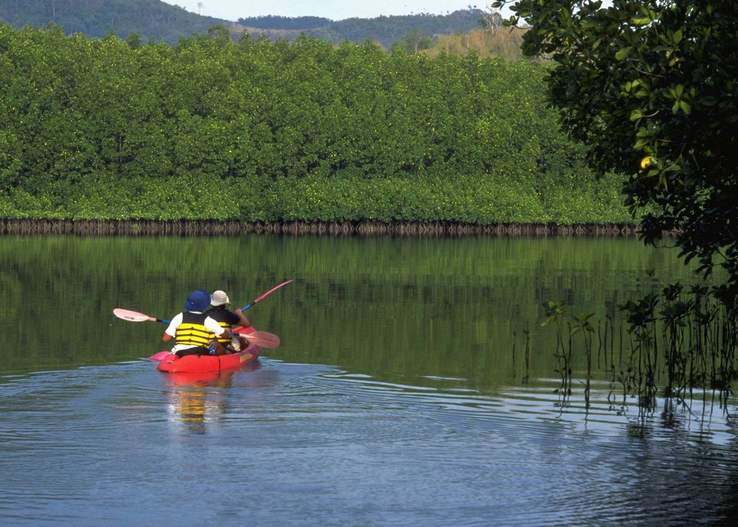 Kayaking